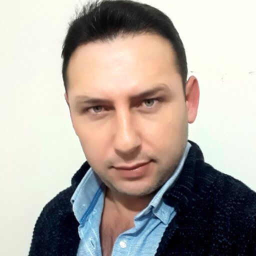 Ziyaretçi