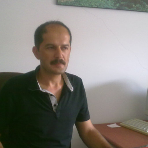 Ziyaretçi